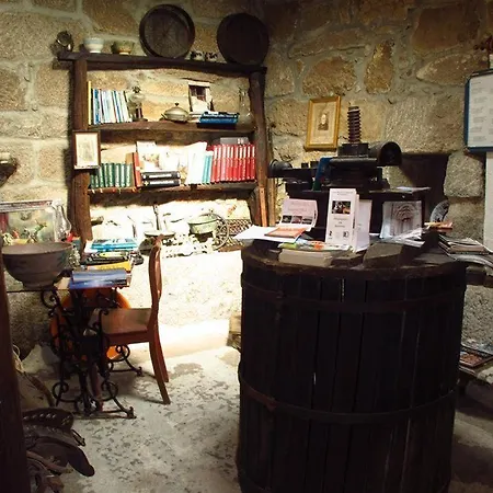 Bizarras * カストロ・ダイレ