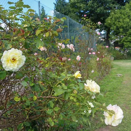 Alojamento de Turismo Rural Bizarras