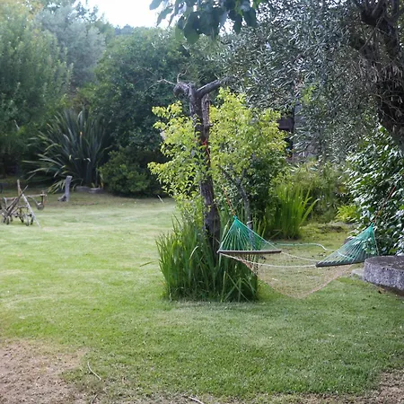 Bizarras * كاسترو دير