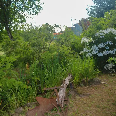 Alojamento de Turismo Rural Bizarras *