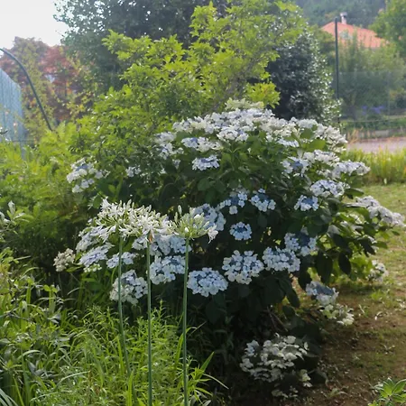 Alojamento de Turismo Rural Bizarras Castro Daire