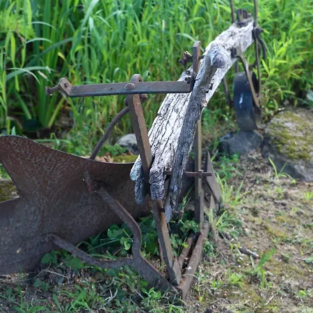 Bizarras مزرعة للإقامة *