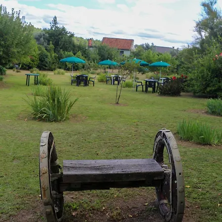 Bizarras * كاسترو دير