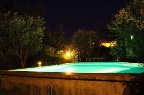 Bizarras * カストロ・ダイレ