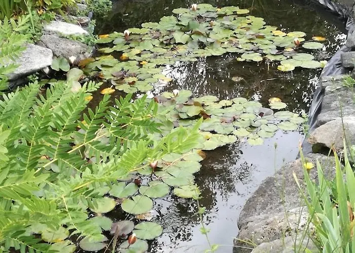 Bizarras Alojamento de Turismo Rural