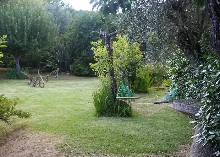 Bizarras * Castro Daire