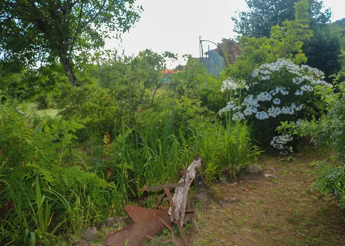 Alojamento de Turismo Rural Bizarras *