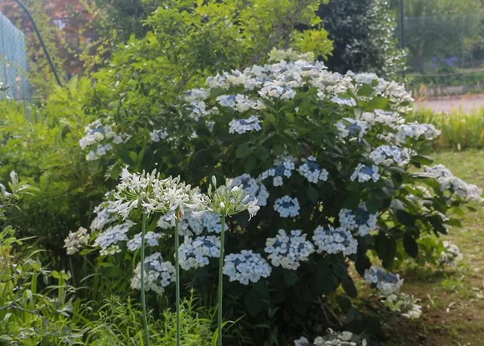 Alojamento de Turismo Rural Bizarras Castro Daire