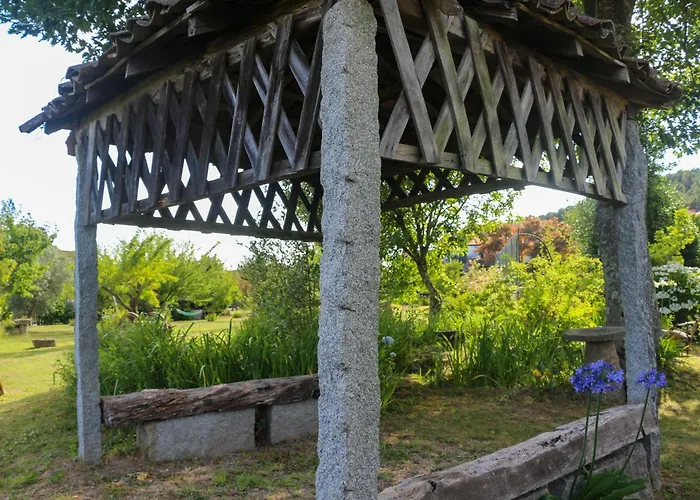 Bizarras * カストロ・ダイレ