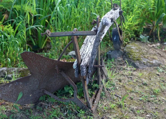 Bizarras Alojamento de Turismo Rural *