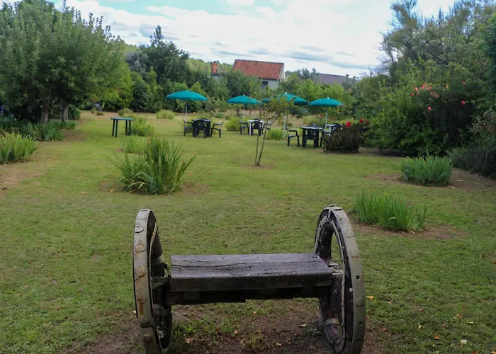 Bizarras * カストロ・ダイレ